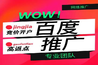 成功案例：SEM竞价代运营助力品牌崛起